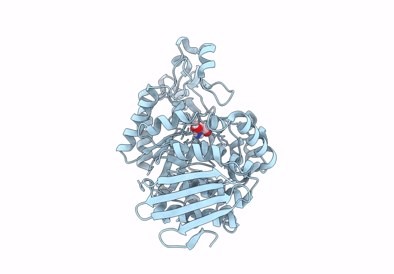 7QQI image