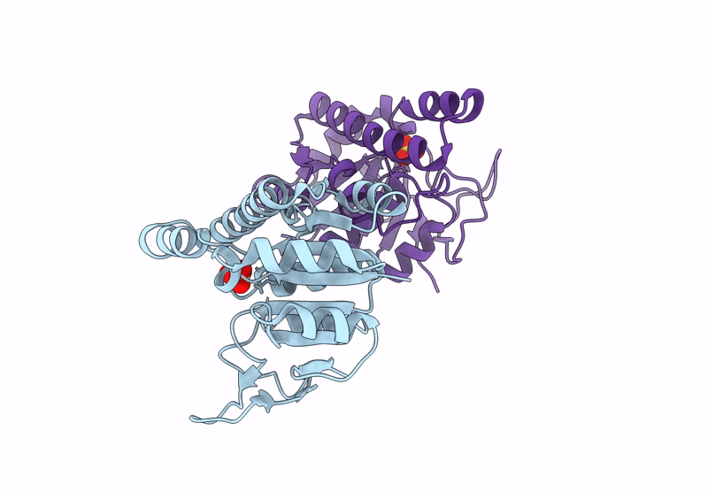 7QRH image