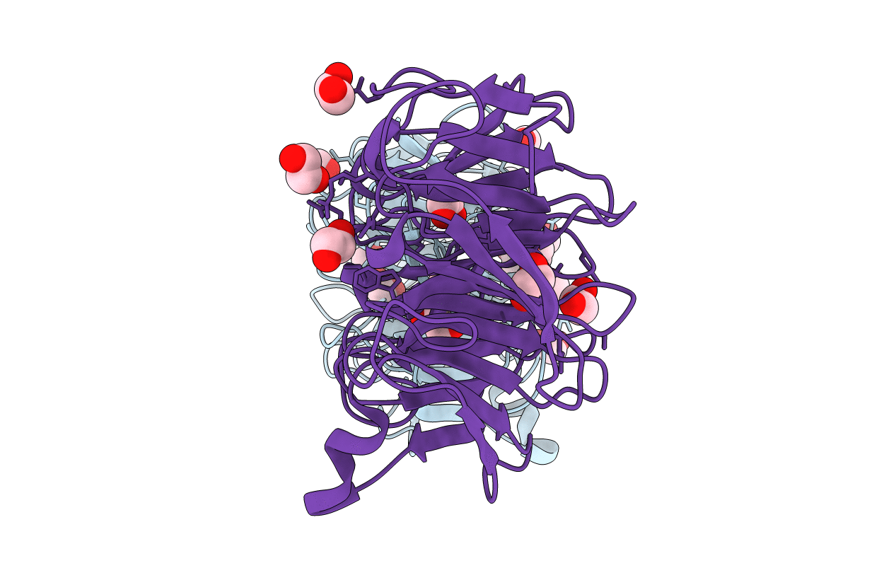 7QRX image