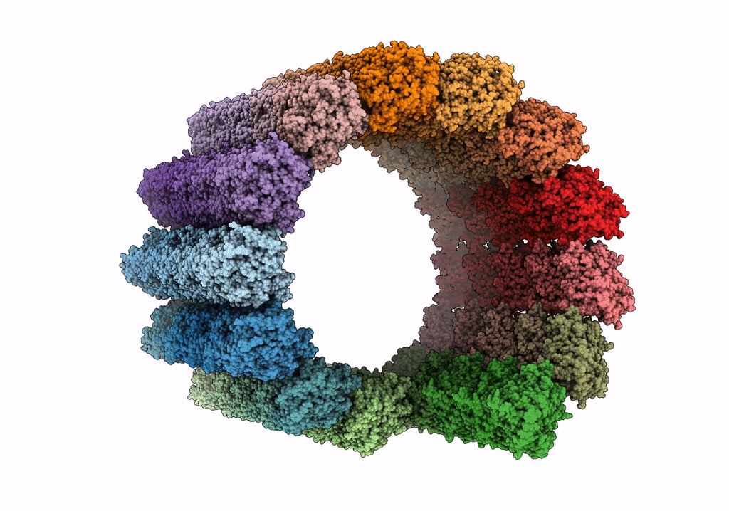 7QUP image