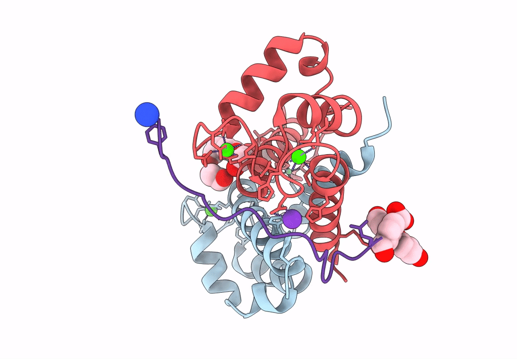 7QUV image