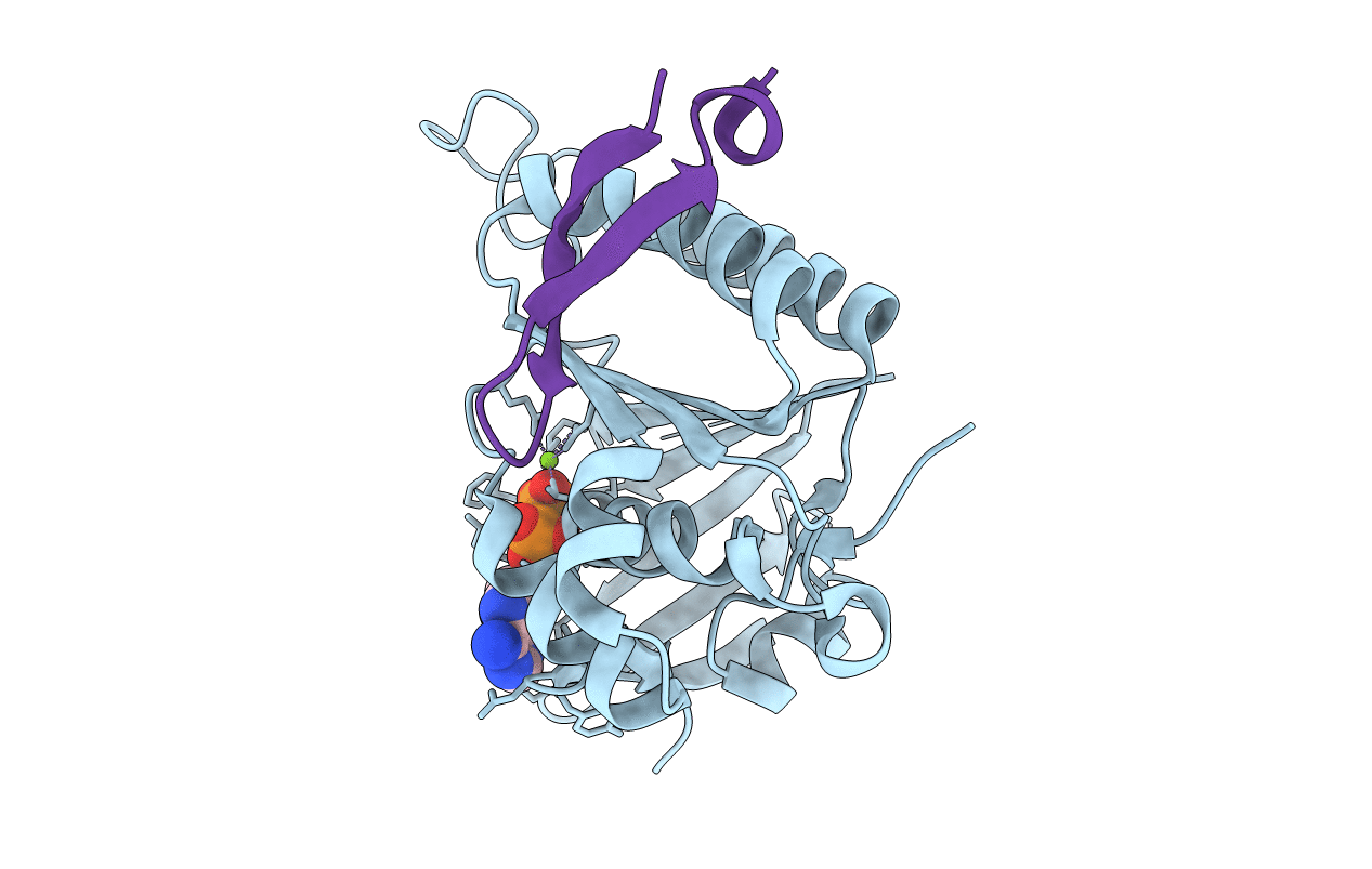 7QV8 image