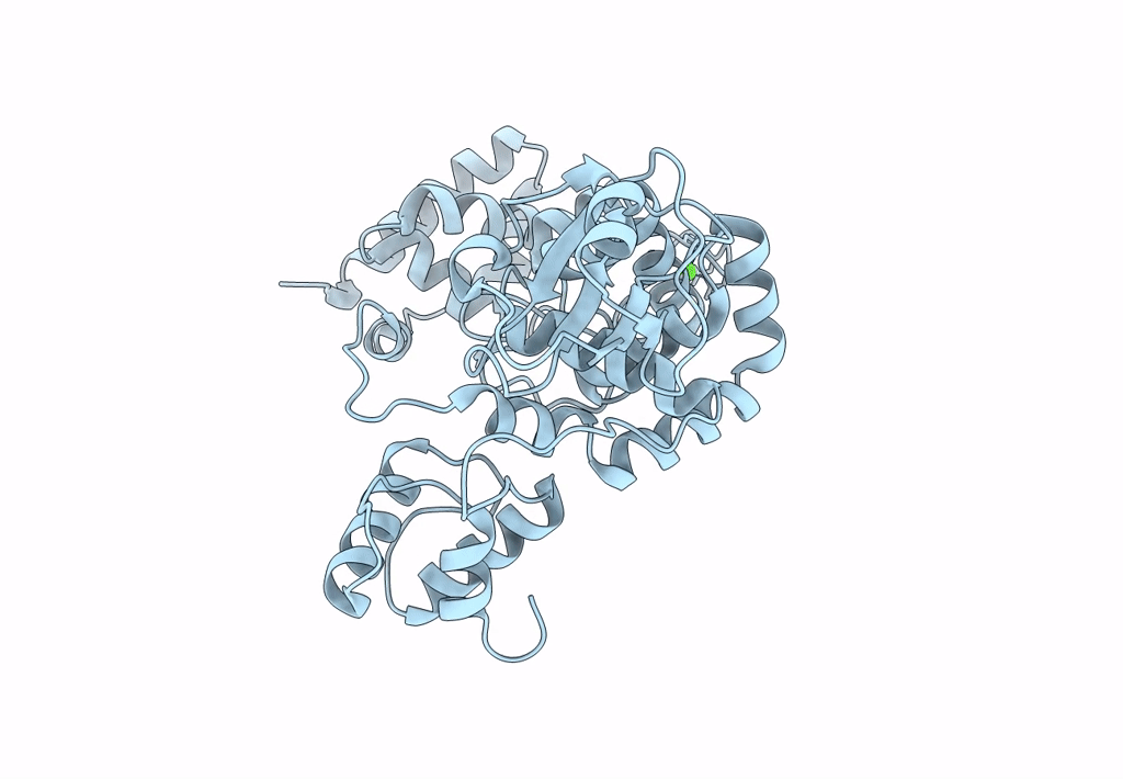 7QVD image