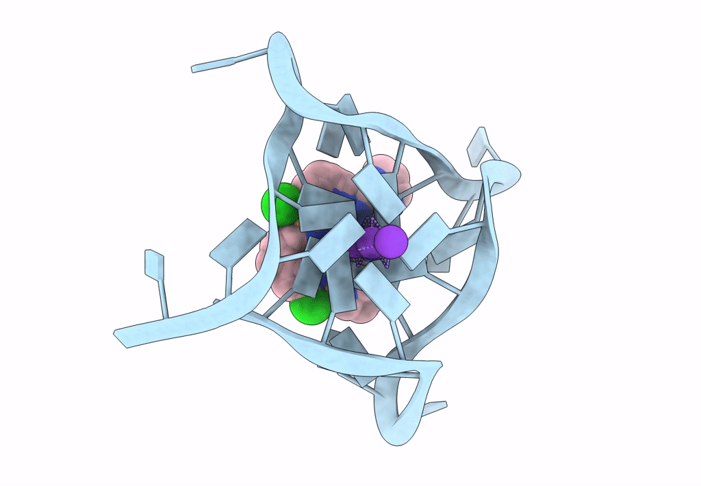7QVQ image