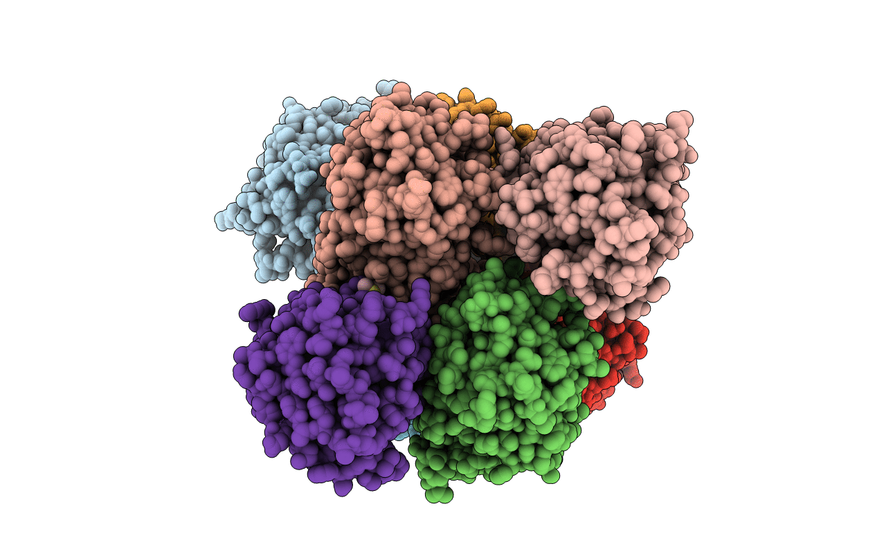7QWK image