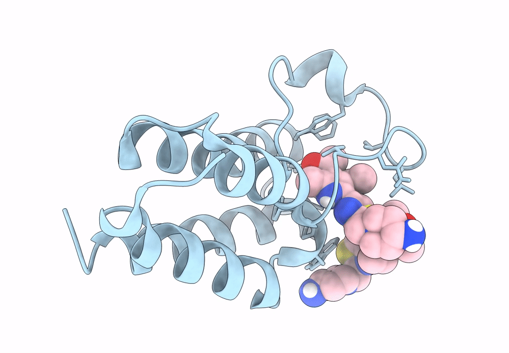 7QX2 image
