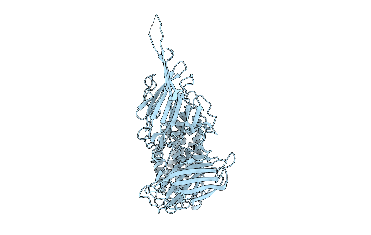 7QX5 image