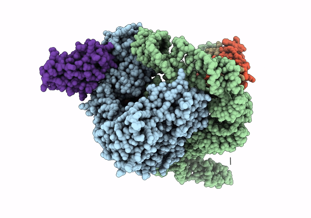 7QXA image