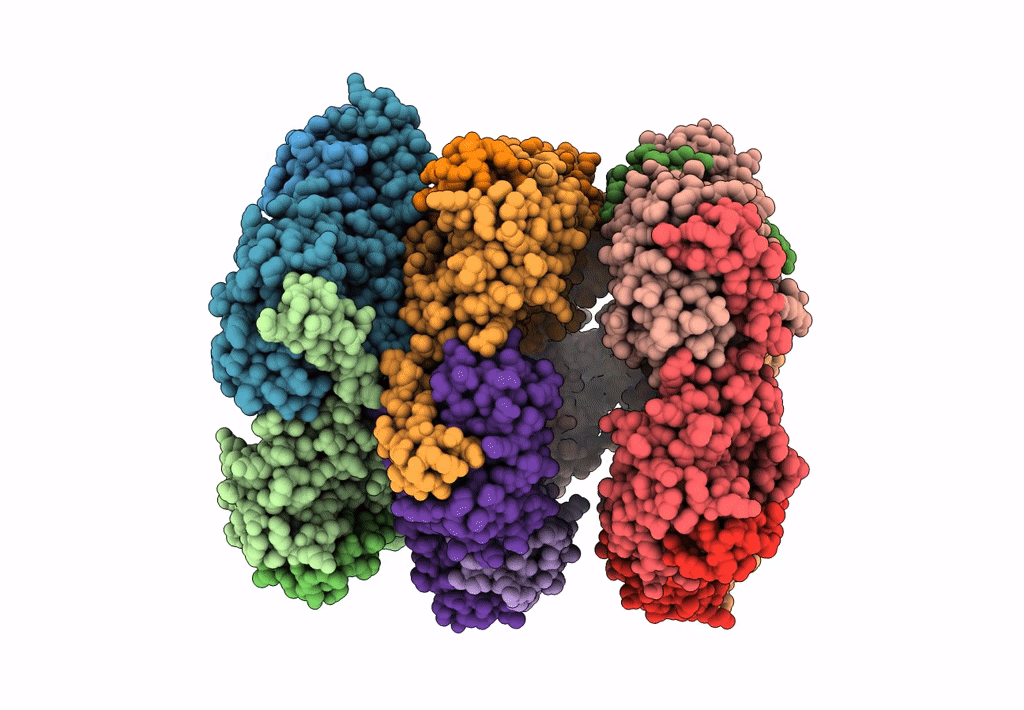 7QXF image