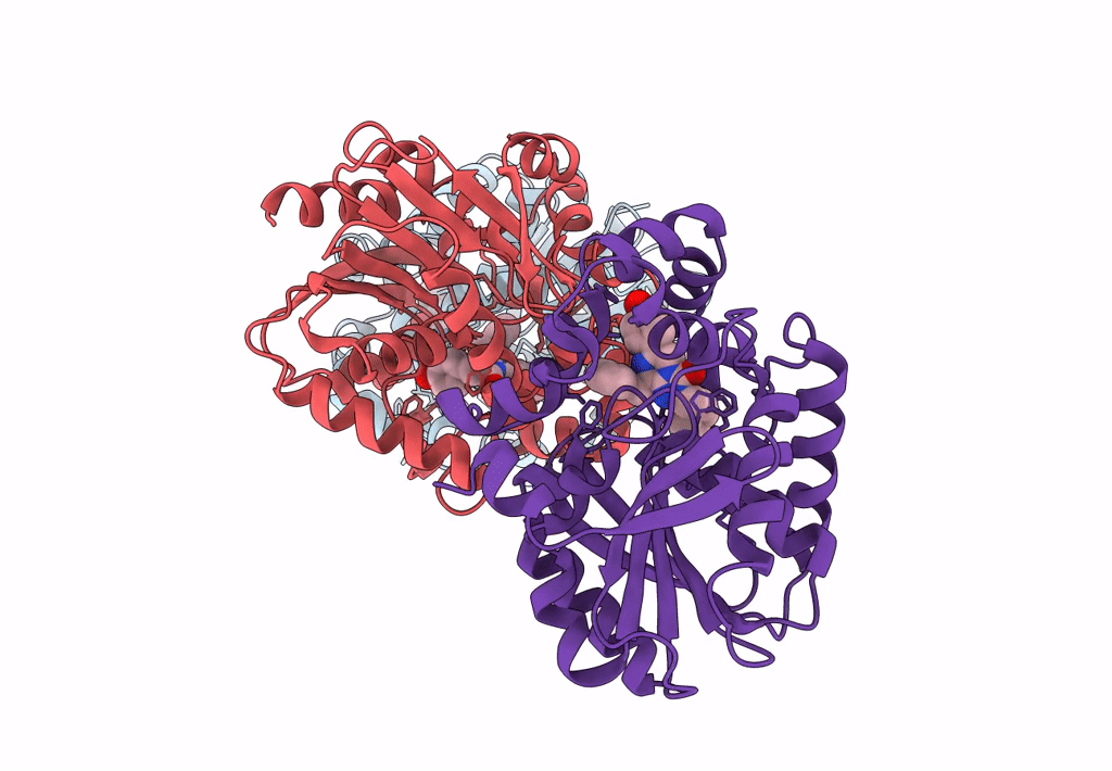 7QXR image