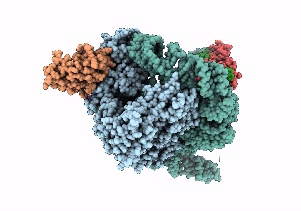 7QXS image