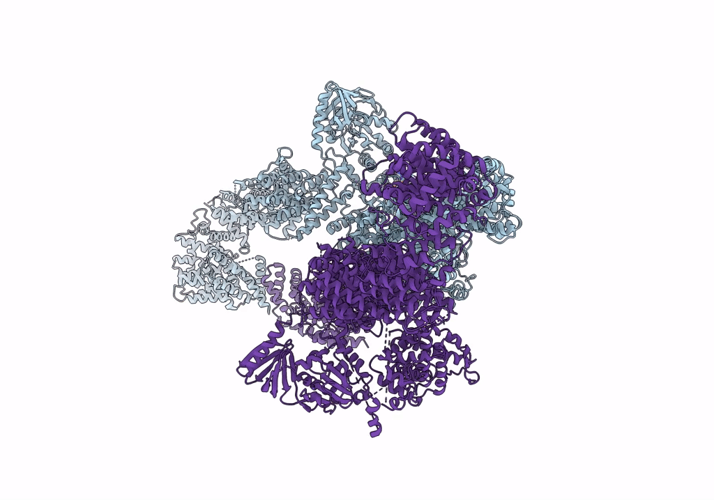 7R04 image