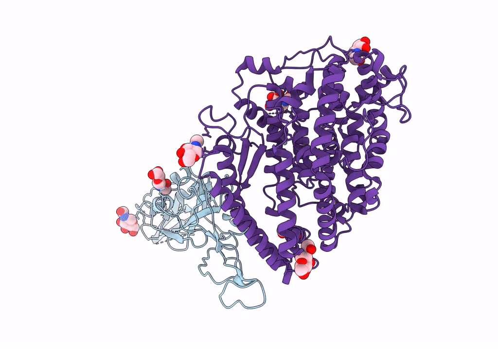 7R11 image