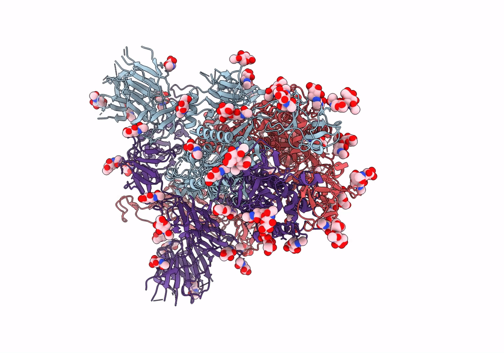 7R13 image