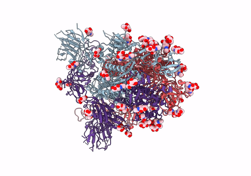 7R14 image