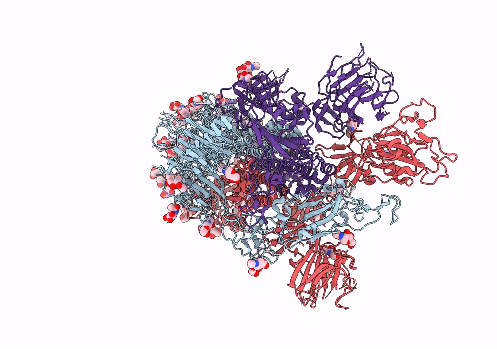 7R16 image