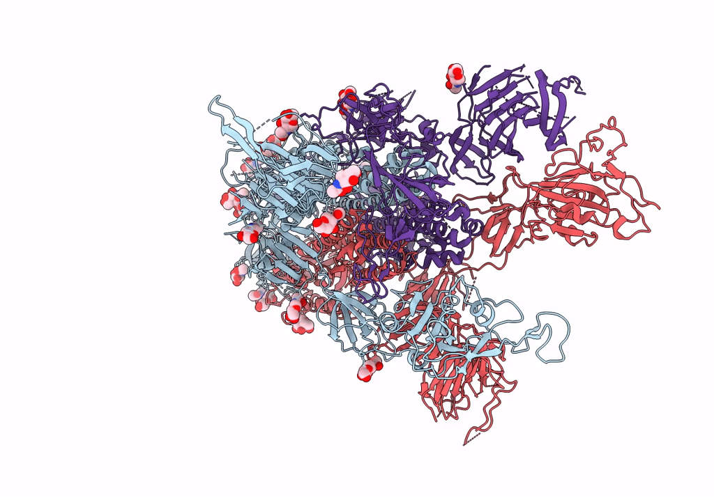 7R17 image
