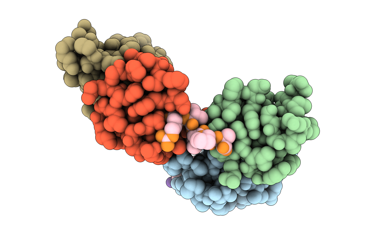 7R1O image