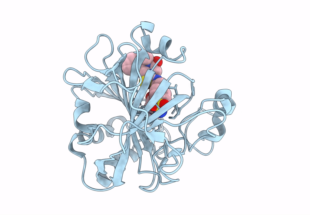 7R1X image