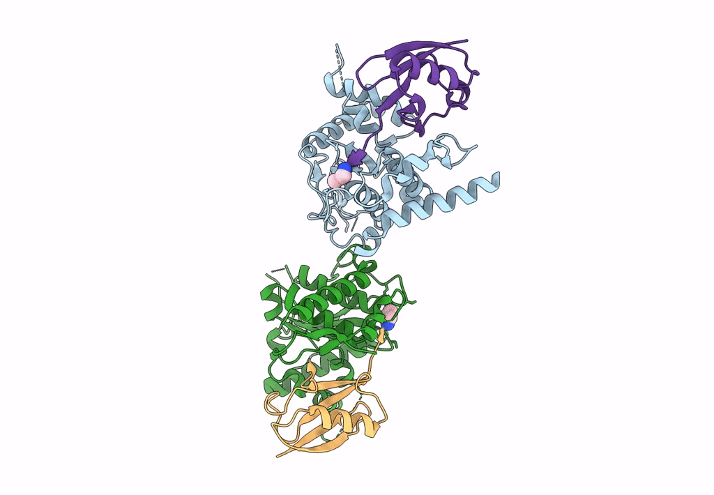 7R2E image