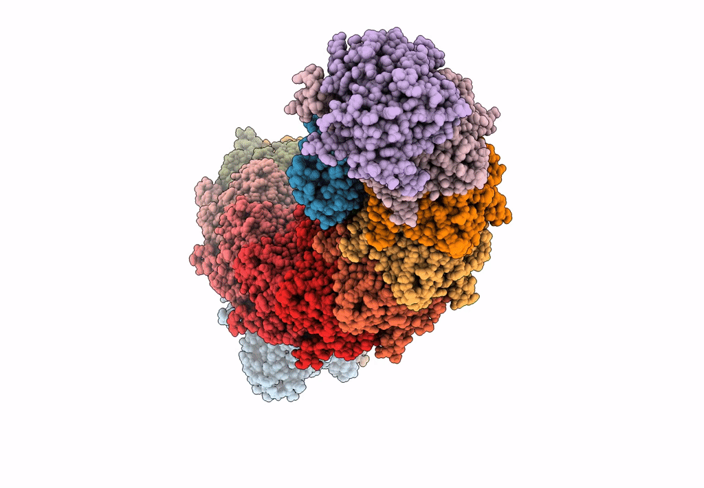 7R2K image