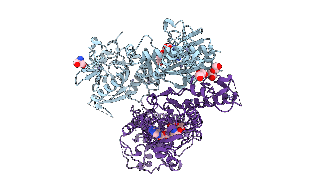 7R2V image