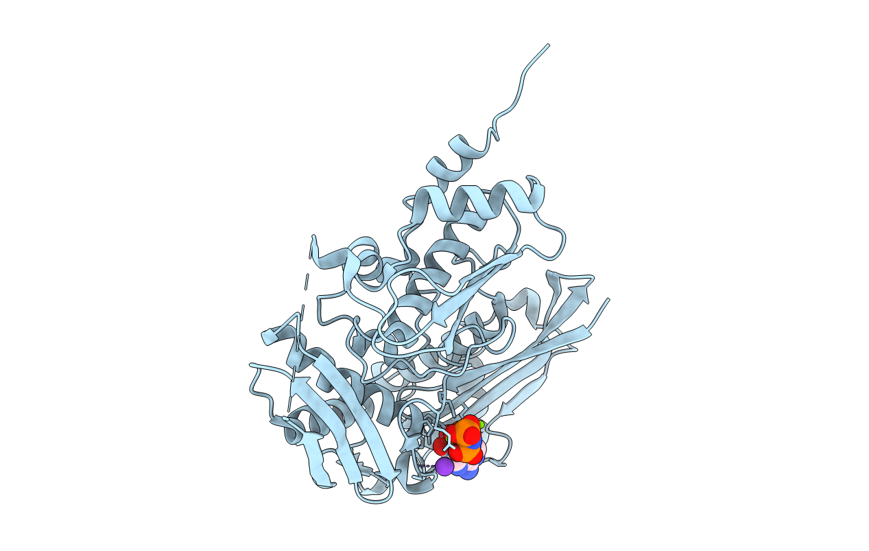7R2W image