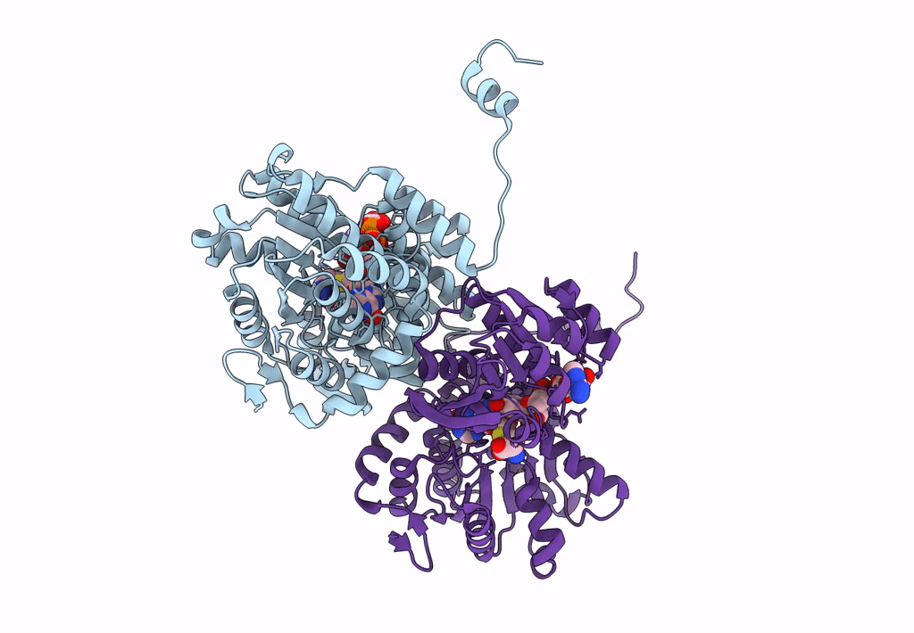 7R38 image
