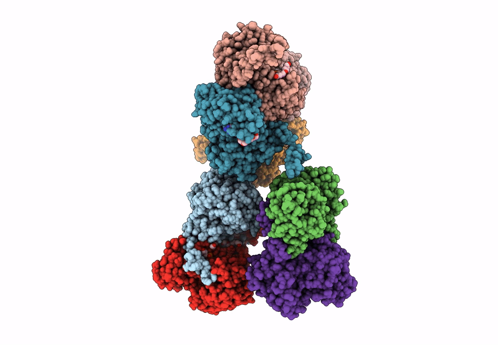 7R3A image