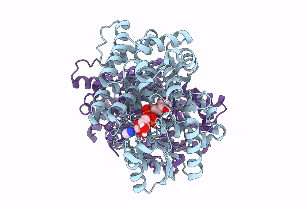 7R3D image