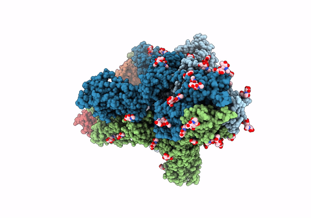 7R40 image