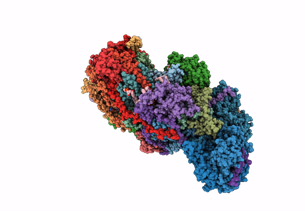 7R44 image