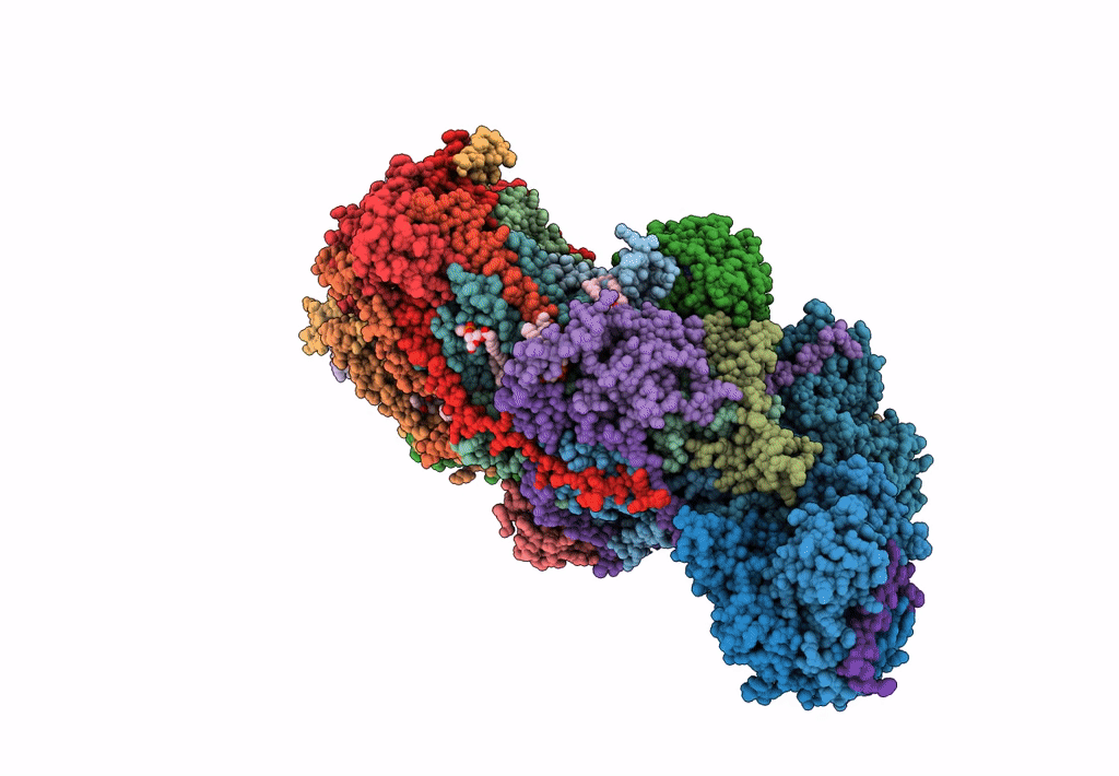 7R48 image