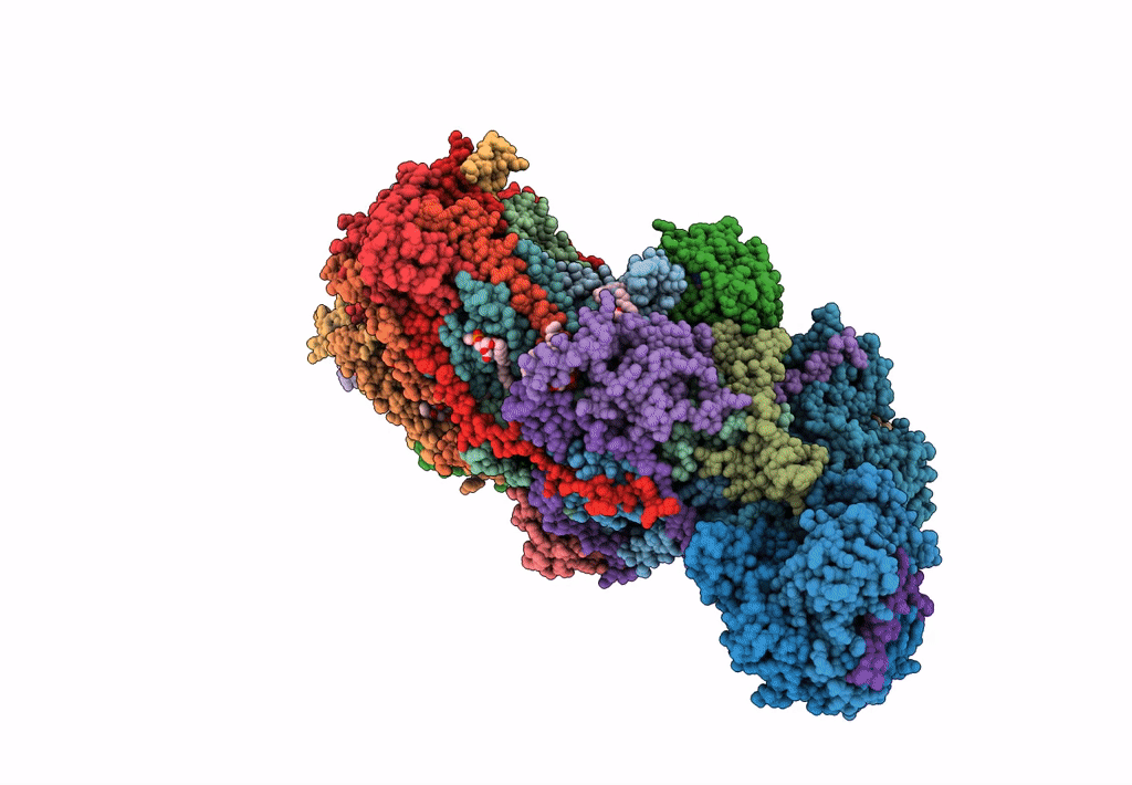 7R4C image