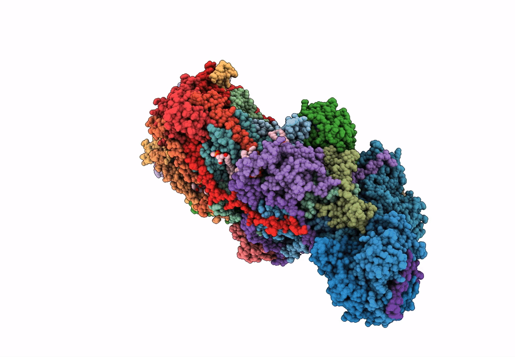 7R4D image