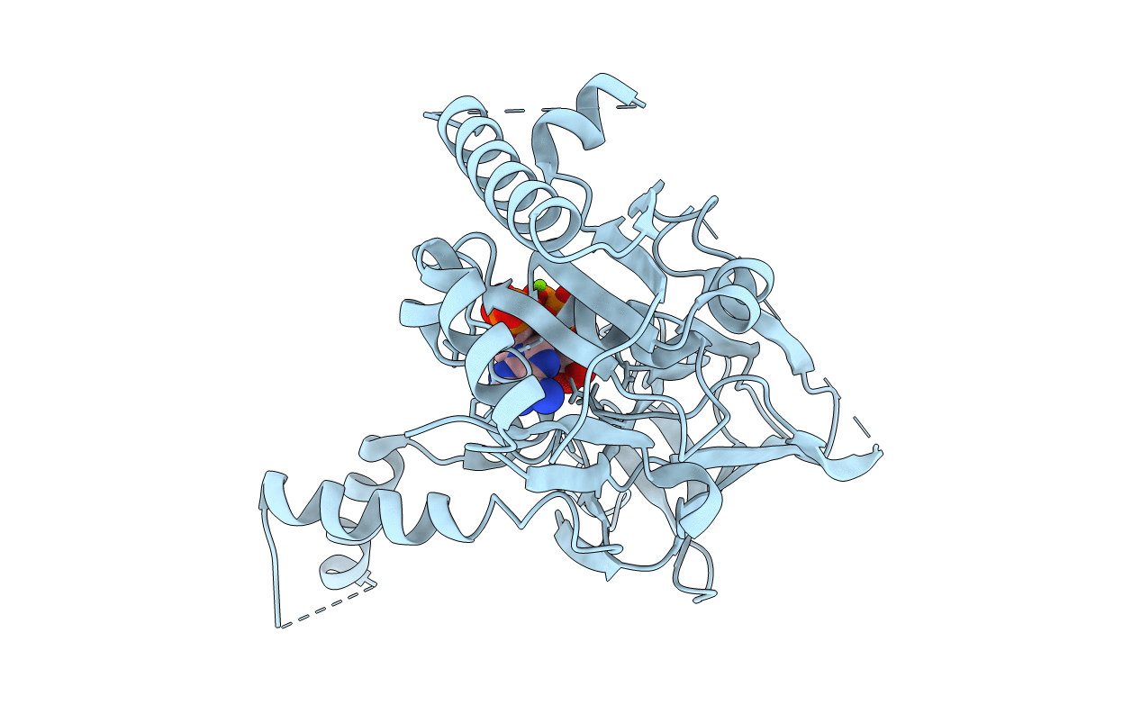 7R4K image