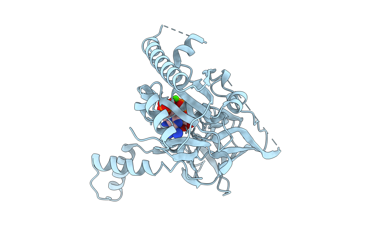 7R4M image