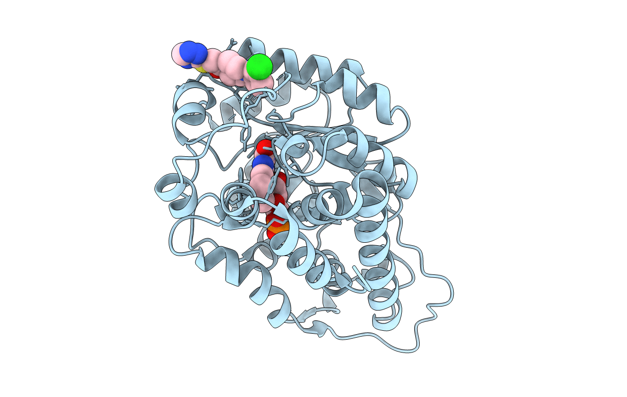 7R4O image