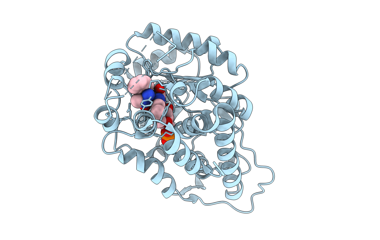 7R4P image