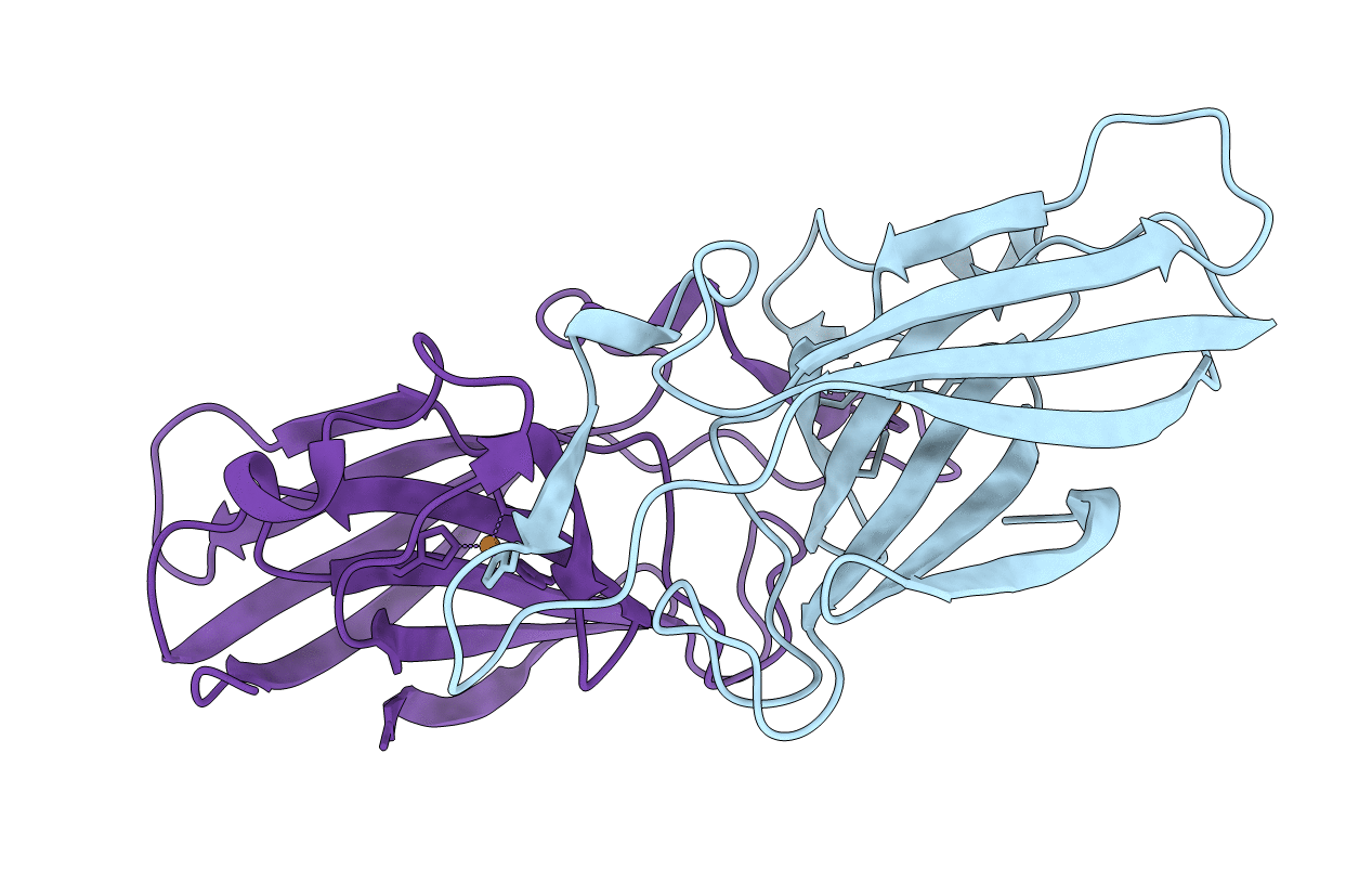 7R4V image