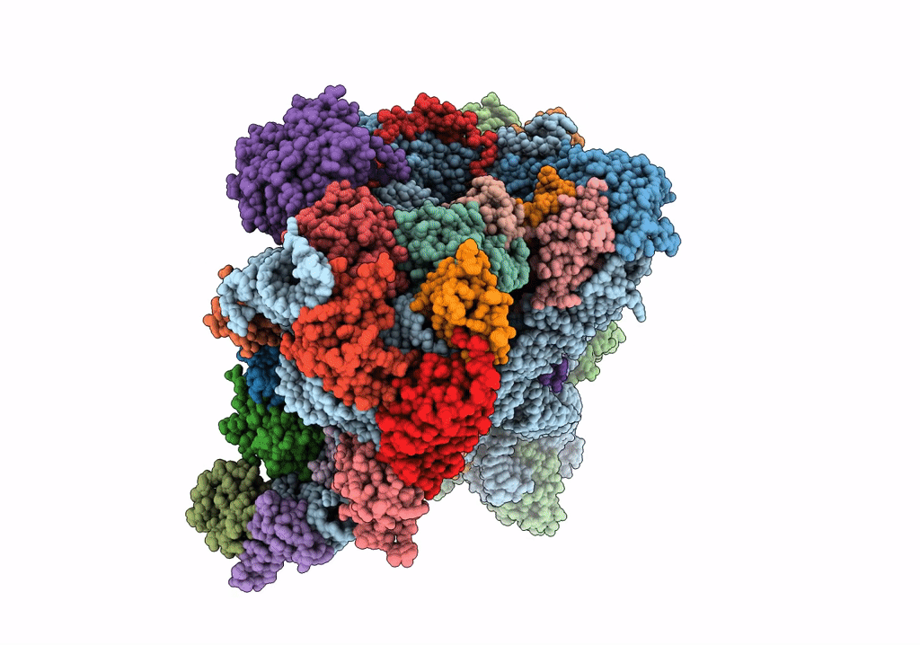 7R4X image