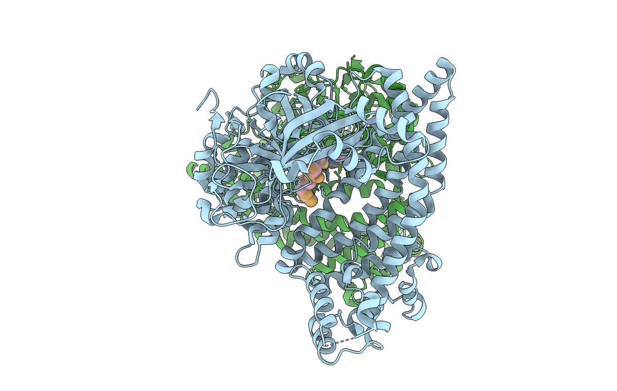 7R51 image