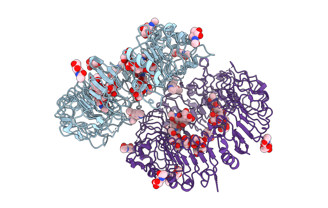 7R52 image