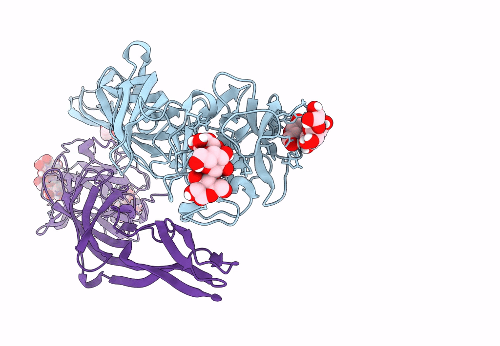 7R55 image