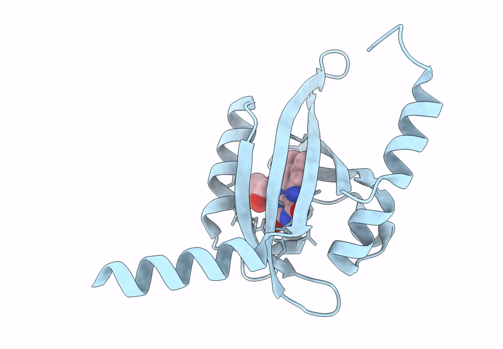 7R56 image