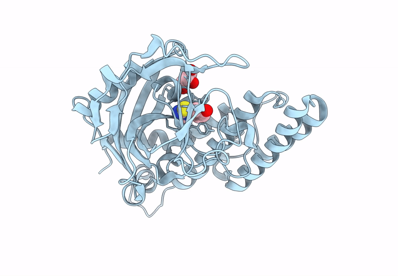 7R59 image
