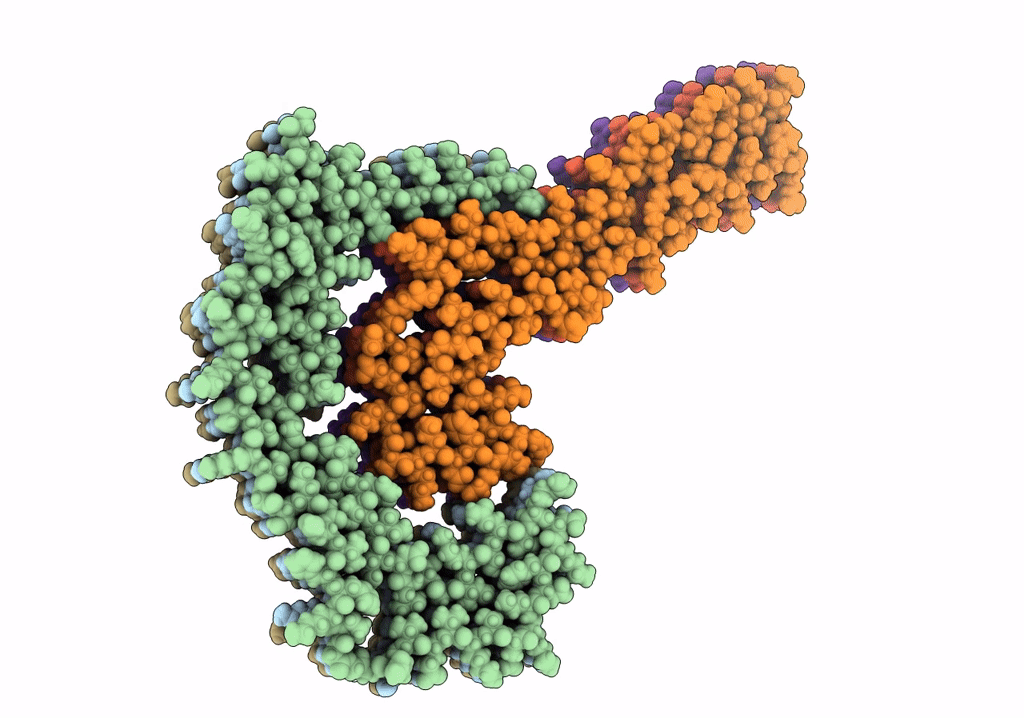 7R5H image
