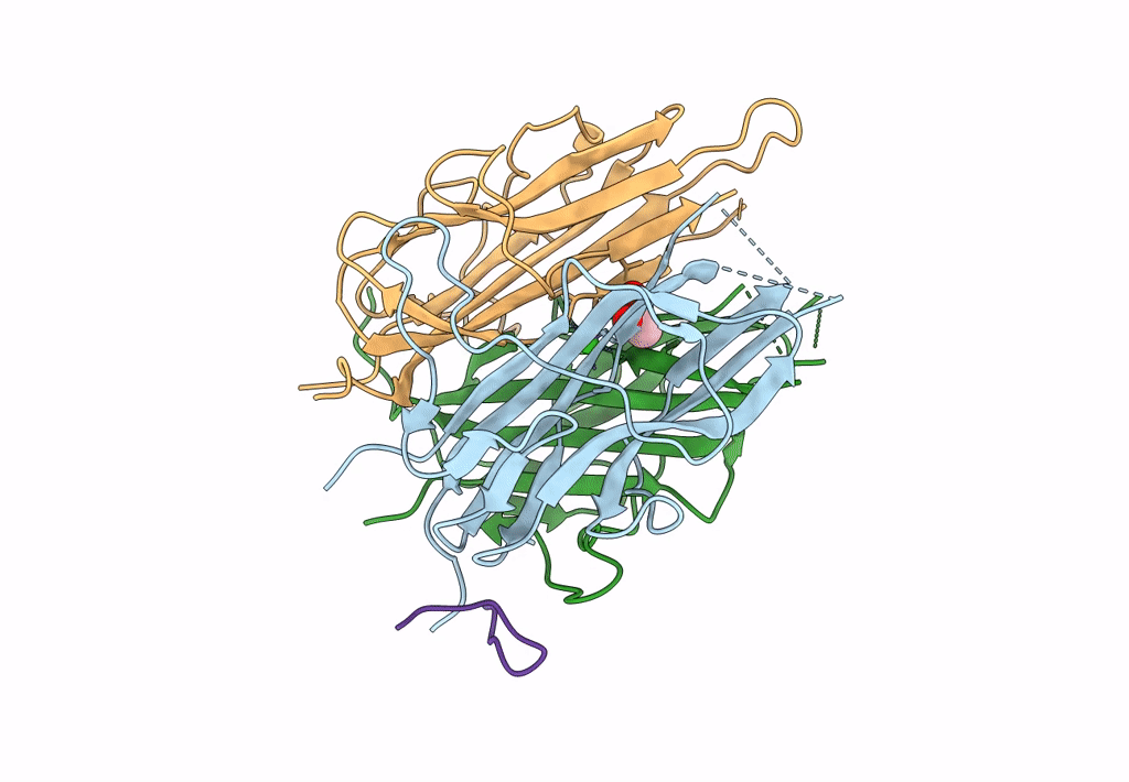 7R5I image