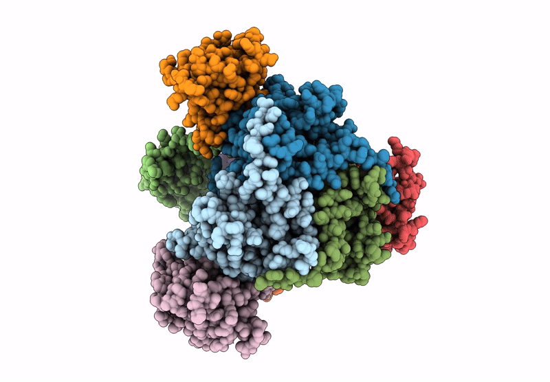 7R5M image