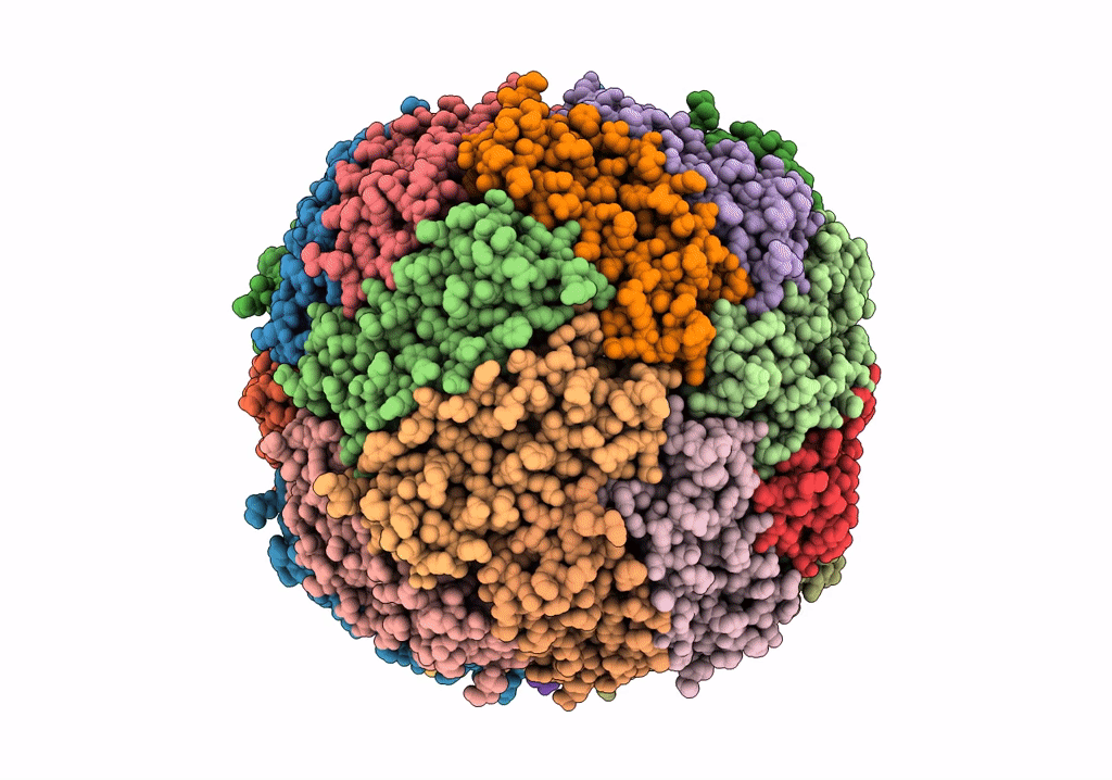 7R5O image
